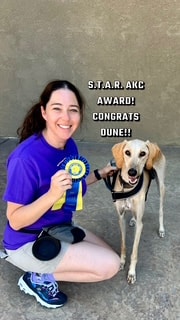 Star Puppy Academy trainer receiving AKC award with dog at Las Vegas competition