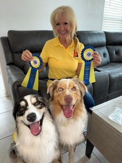 AKC certified dog trainer holding award ribbons with two trained dogs – Star Puppy Academy