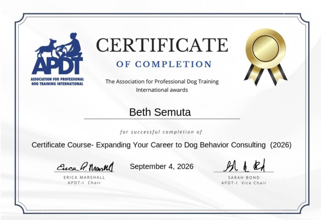 APDT-I Course Completion certificate from the Association of Professional Dog Trainers